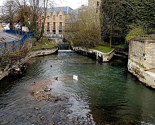 Swan Bridge