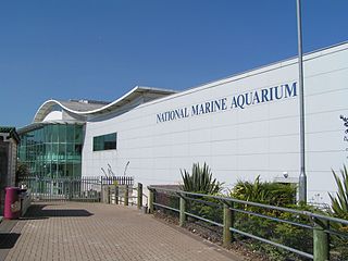 National Marine Aquarium