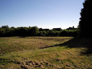 Flowerdown Barrows